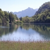 Alatsee